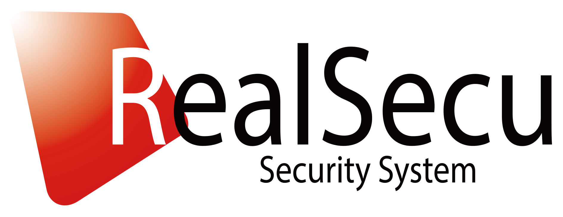 realsecu_logo.png