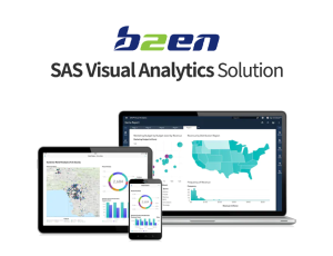 SAS Visual Analytics