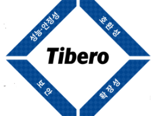 Tibero6 - DB