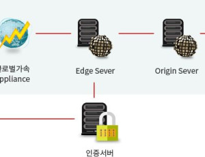 글로벌 스트리밍