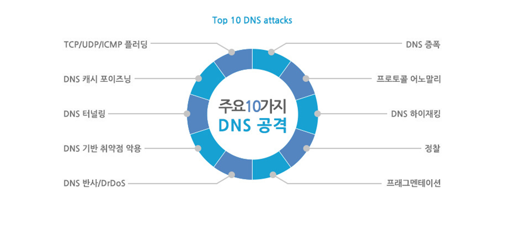 보안솔루션 - 외부 DNS 보안 | Infoblox ADP